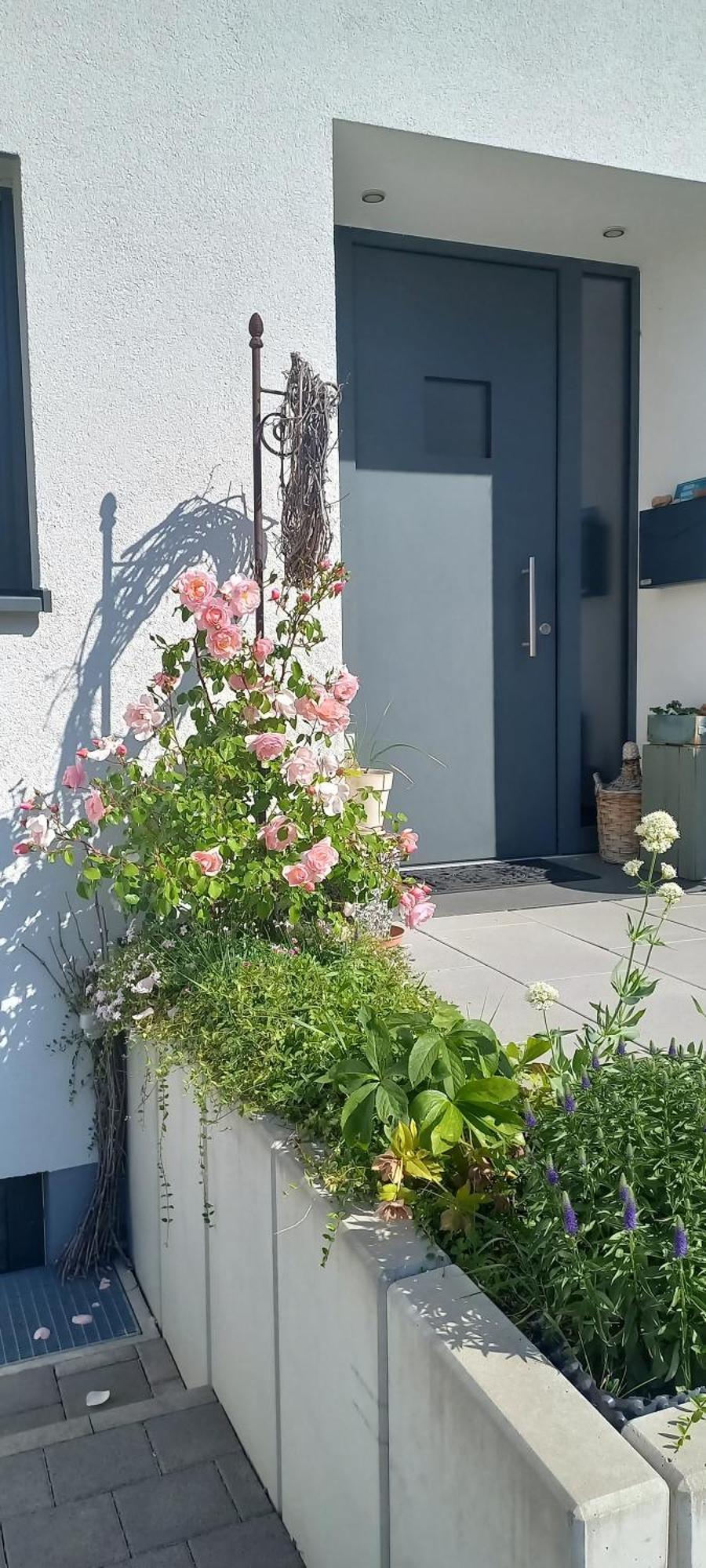 Ferienwohnung Rebgaertle Britzingen المظهر الخارجي الصورة