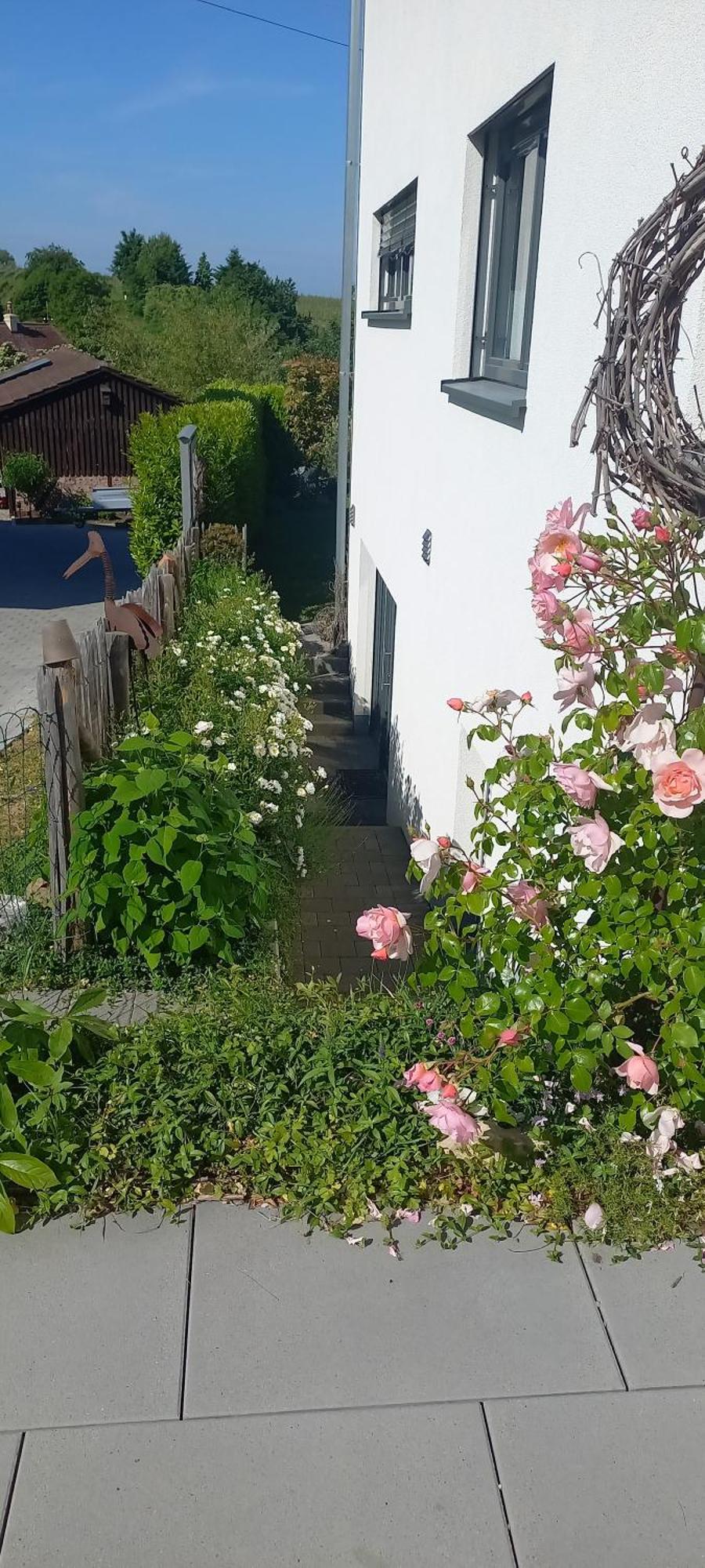 Ferienwohnung Rebgaertle Britzingen المظهر الخارجي الصورة