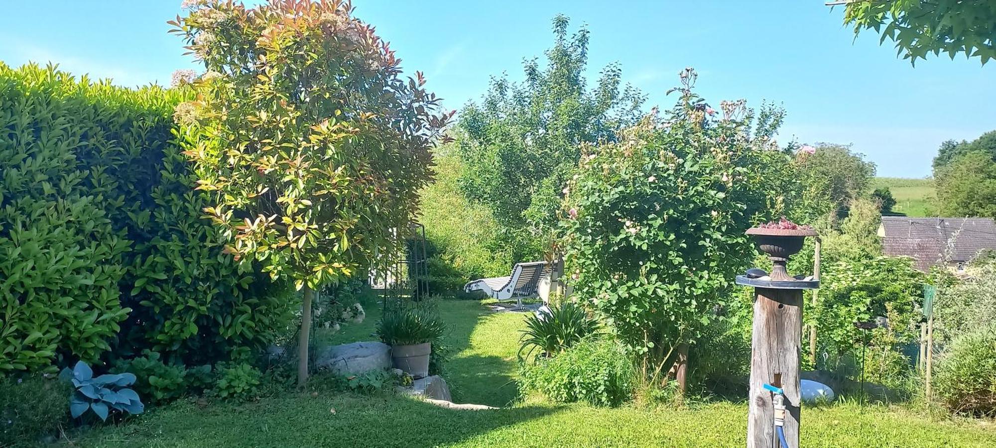 Ferienwohnung Rebgaertle Britzingen المظهر الخارجي الصورة